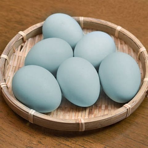 huevos gallina araucana huevos gallina araucana
